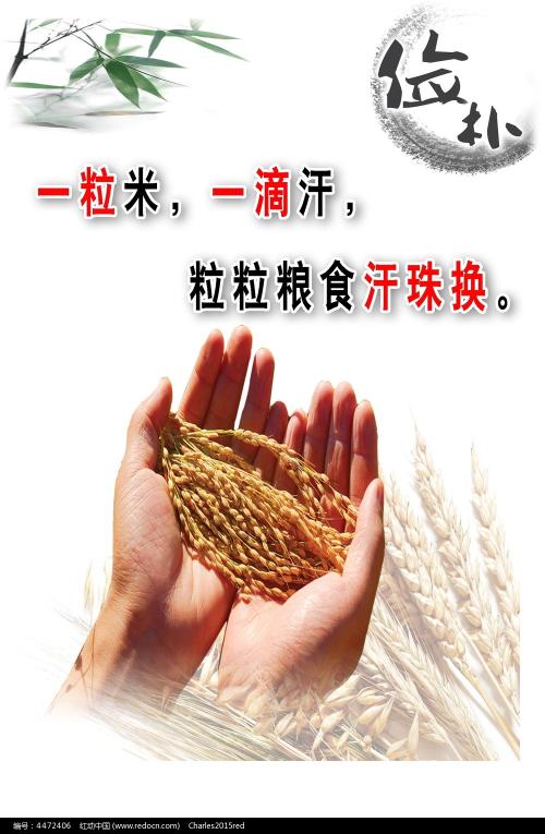 斯普林菲尔德怎么办假证